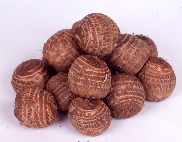 中国産　里芋　石川早生　５００ｇ