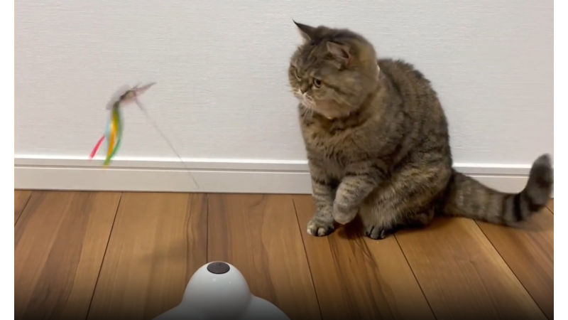 商品動画サムネイル