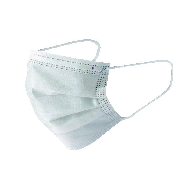 使いきり不織布簡易マスク　レギュラー　１０枚入り