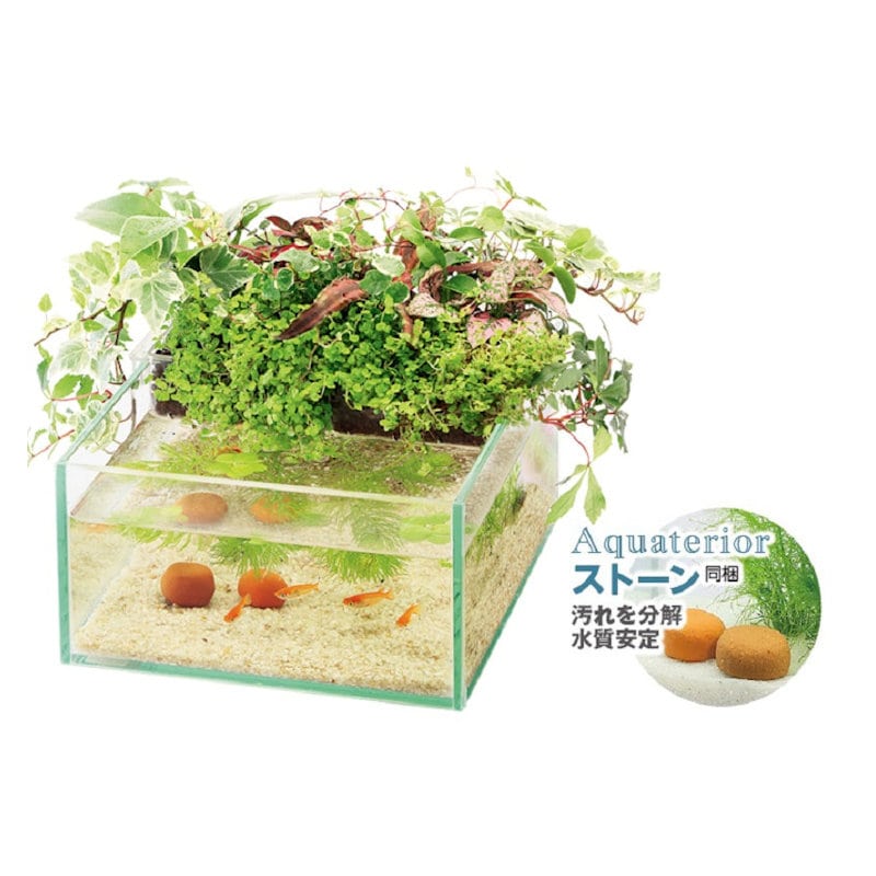 水作　アクアテリア　メダカ用　Ｎ１９０