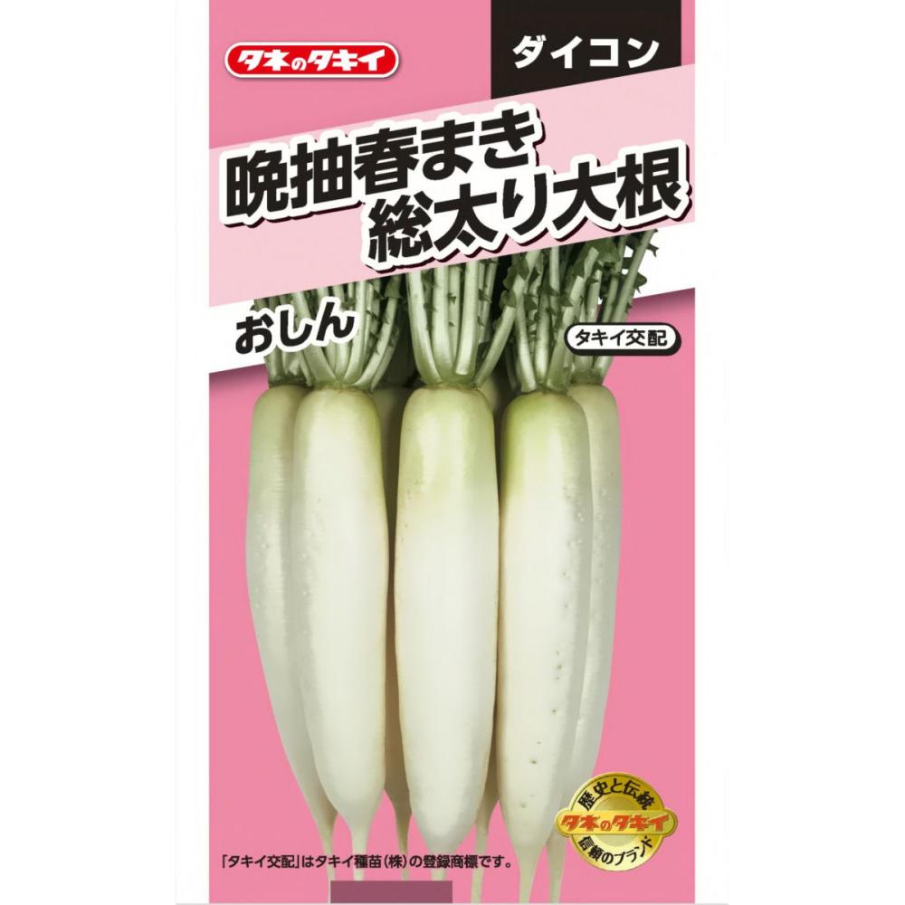 ダイコン種子　晩抽春まき総太り大根　おしん
