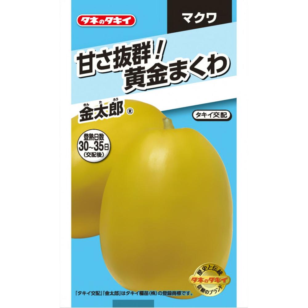 ウリ種子　甘さ抜群！黄金まくわ　金太郎