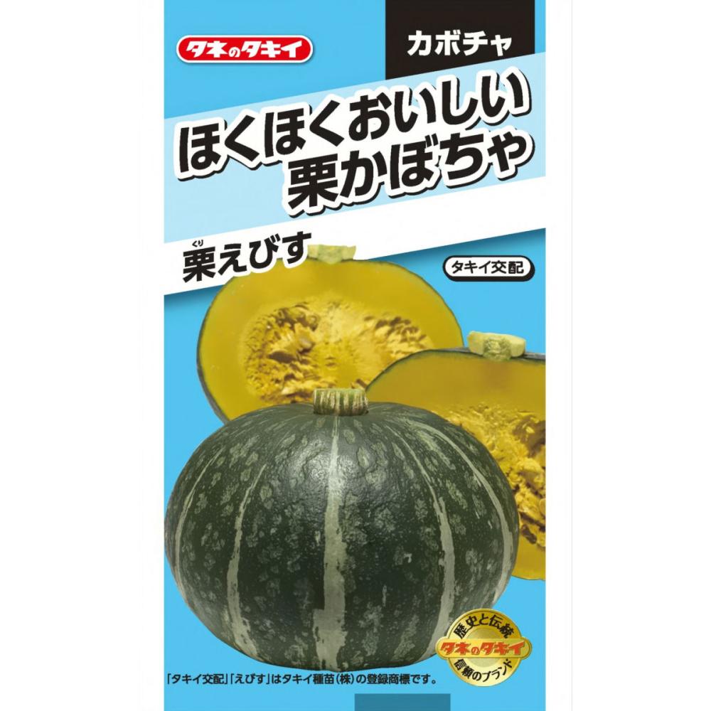 カボチャ種子　ほくほくおいしい栗かぼちゃ　栗えびす