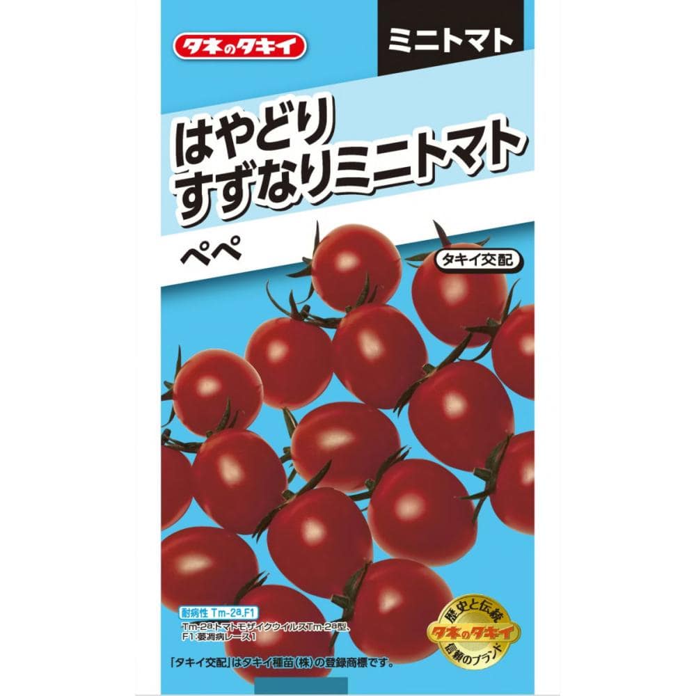 トマト種子　はやどり　すずなりミニトマト　ペペ