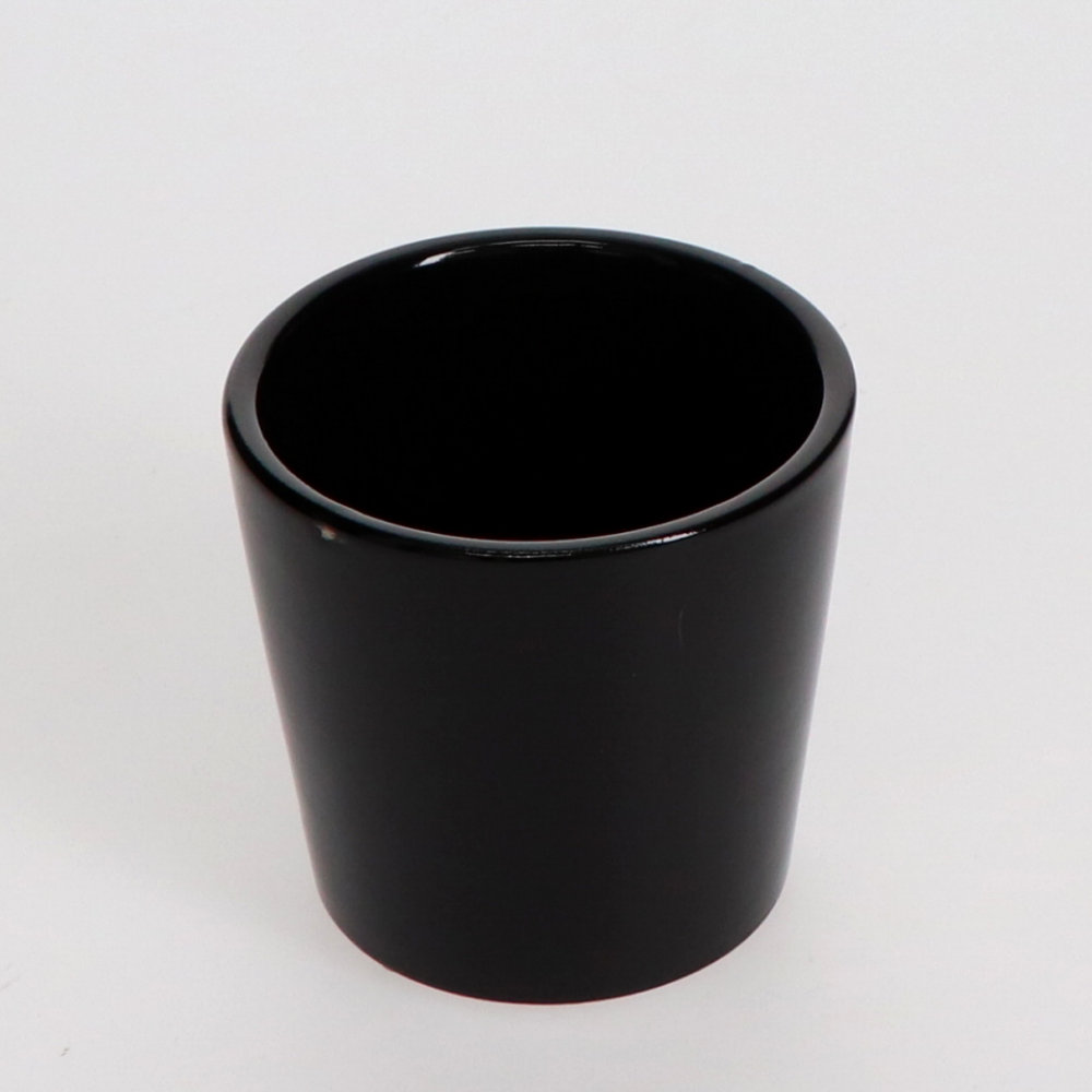 インテリア観葉ポット　ブラック　２号