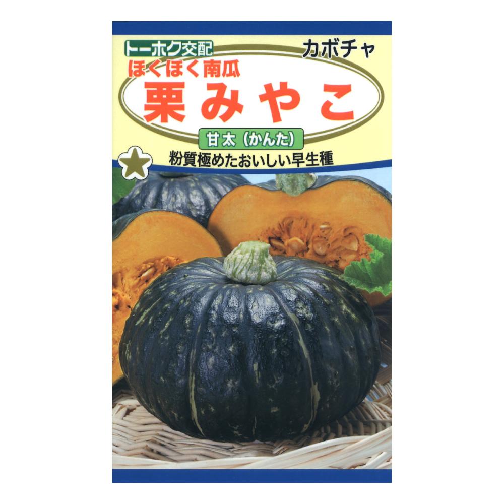 カボチャ種子　Ｆ１　ほくほく南瓜　栗みやこ　甘太　かんた