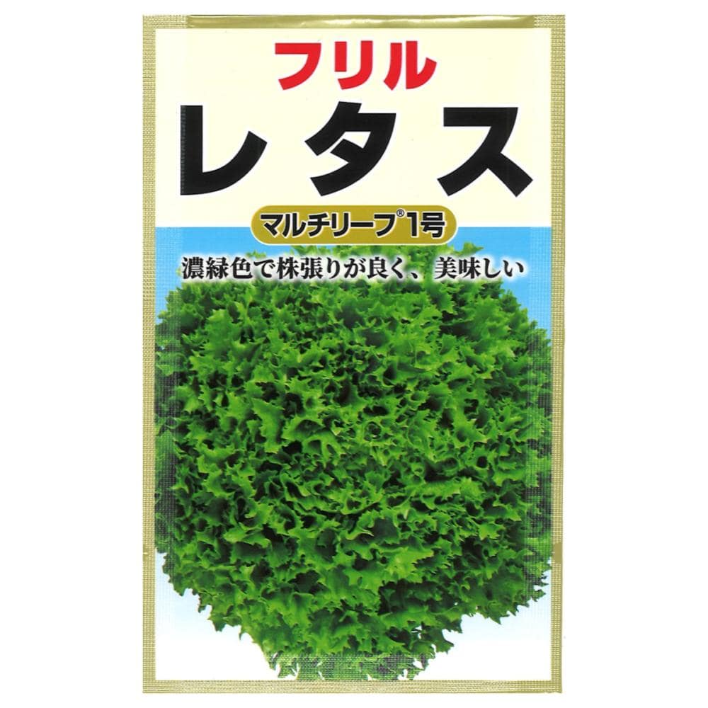 レタス種子　マルチリーフレタス