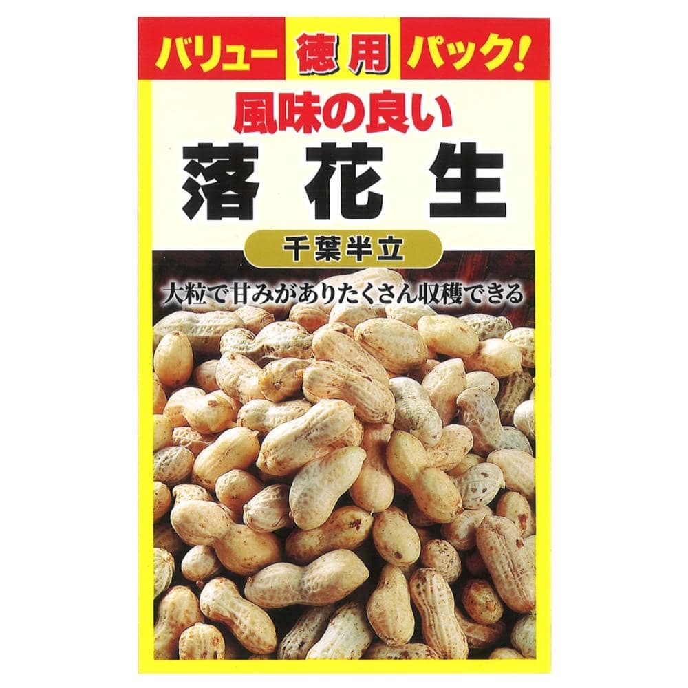 ラッカセイ種子　千葉半立落花生　バリューパック
