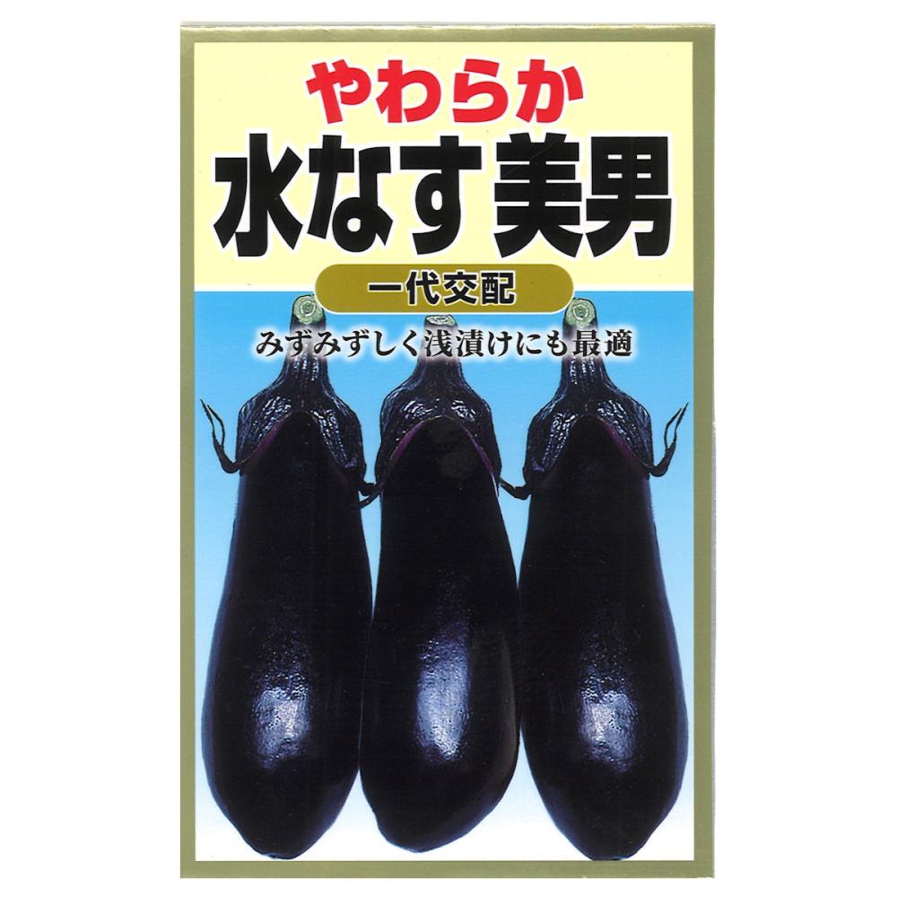 ナス種子　水ナス　美男