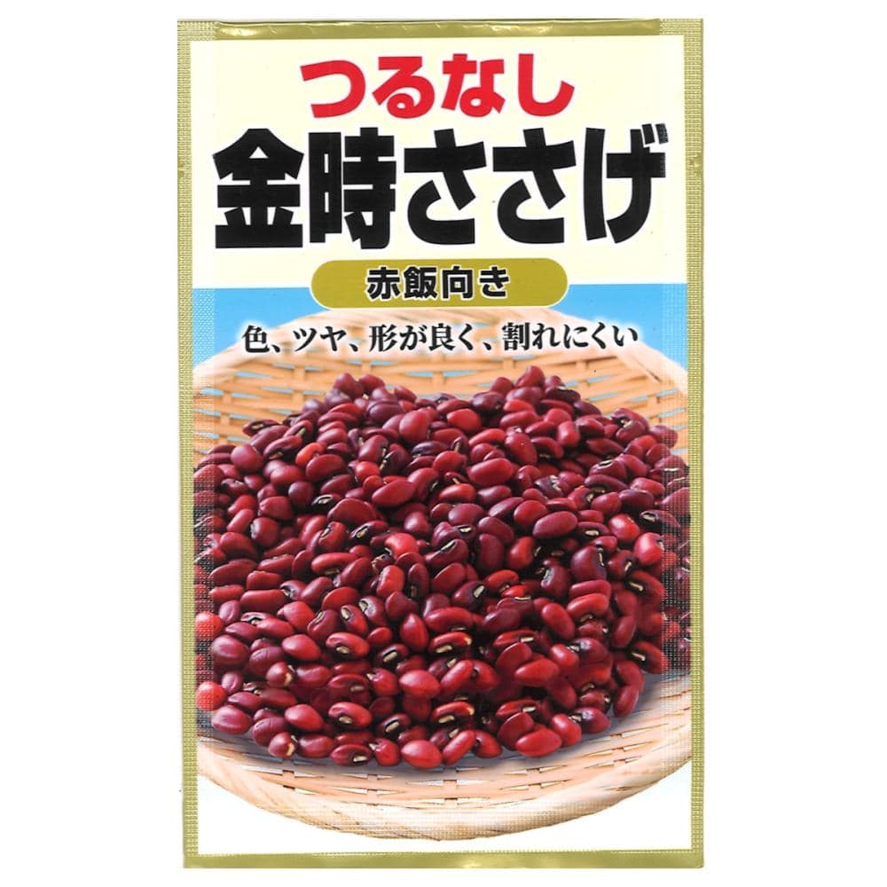 ササゲ種子　つるなし　金時ささげ