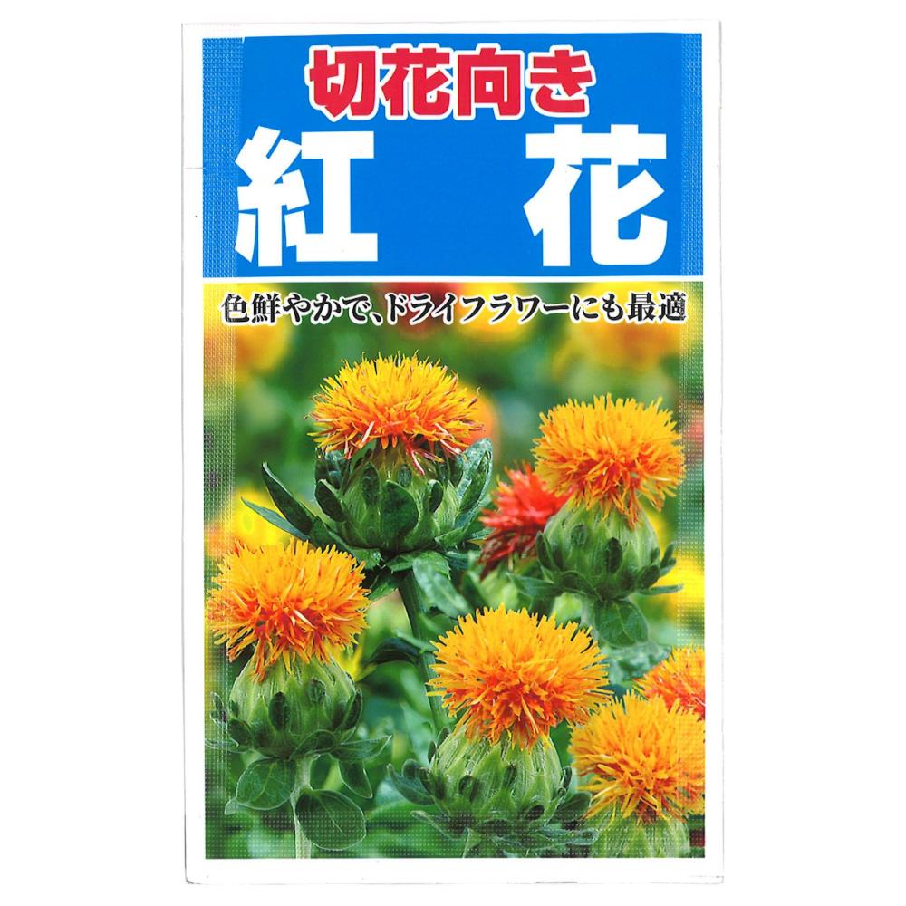 草花種子　紅花