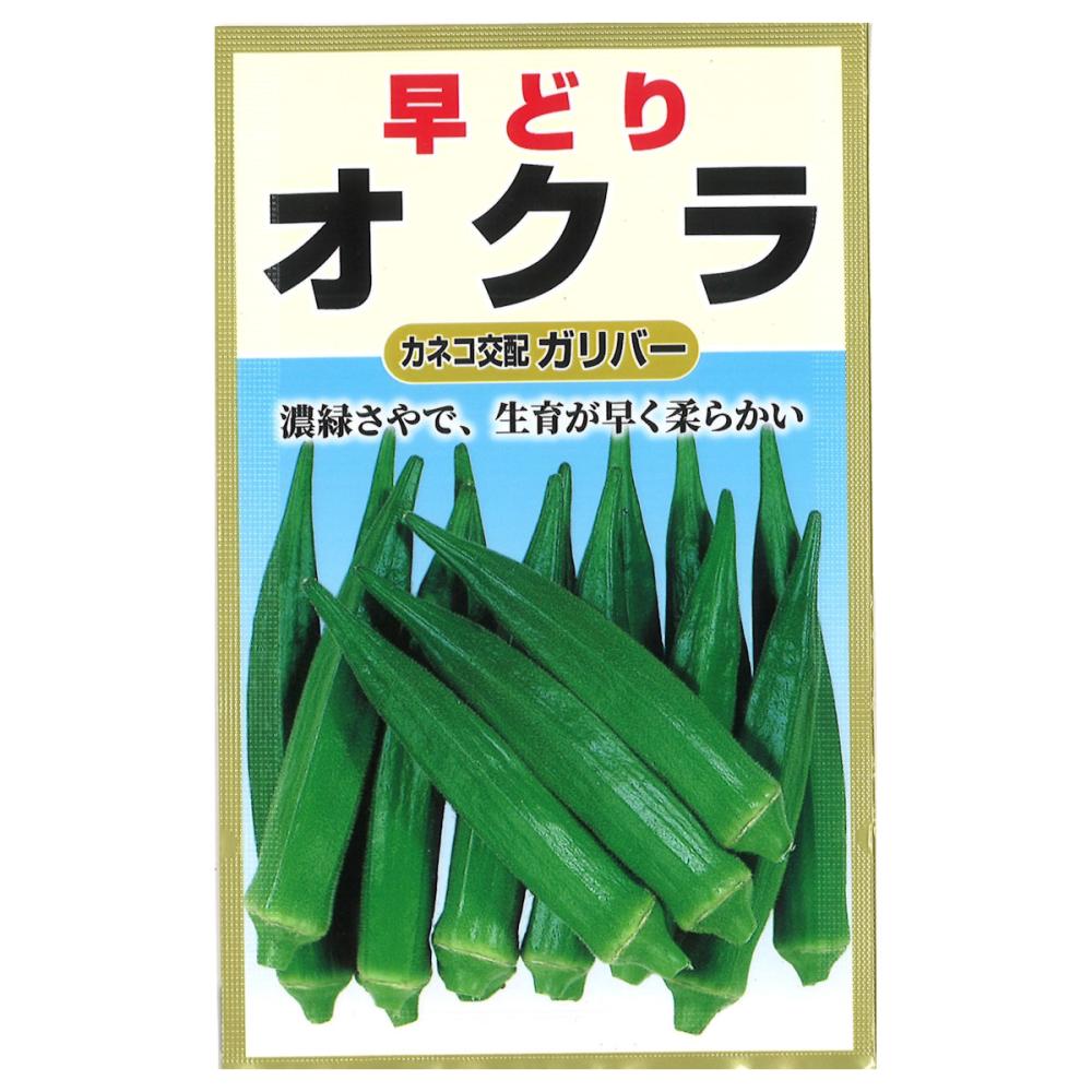 オクラ種子　早どりオクラ　ガリバー