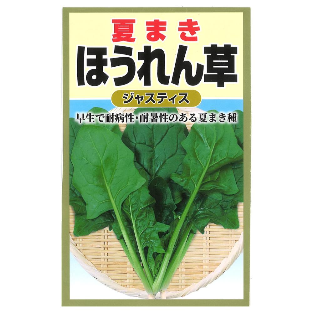ホウレンソウ種子　夏まきほうれん草