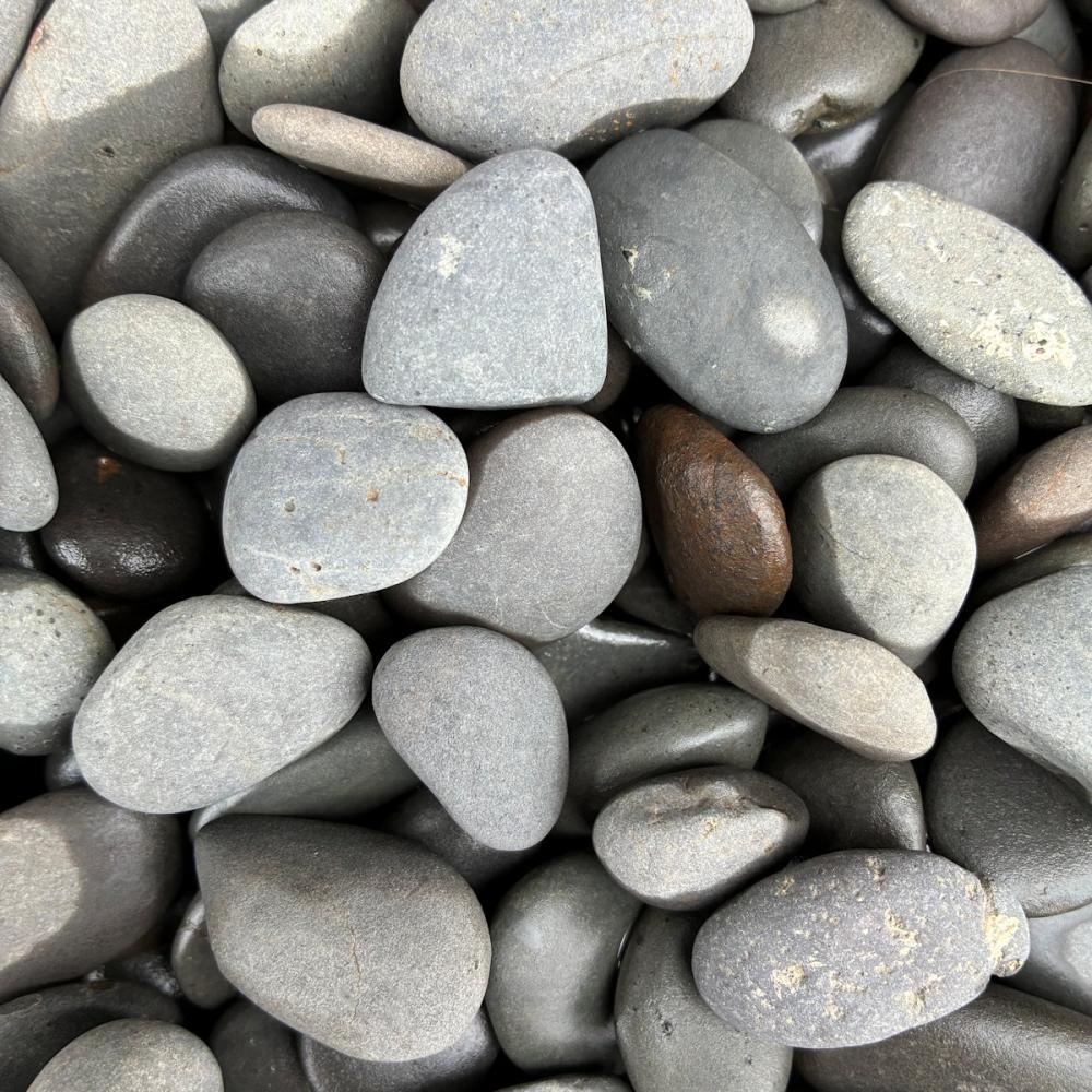 你的品牌名　庭園黒玉　５分　約１０～２０ｍｍ　１０ｋｇ