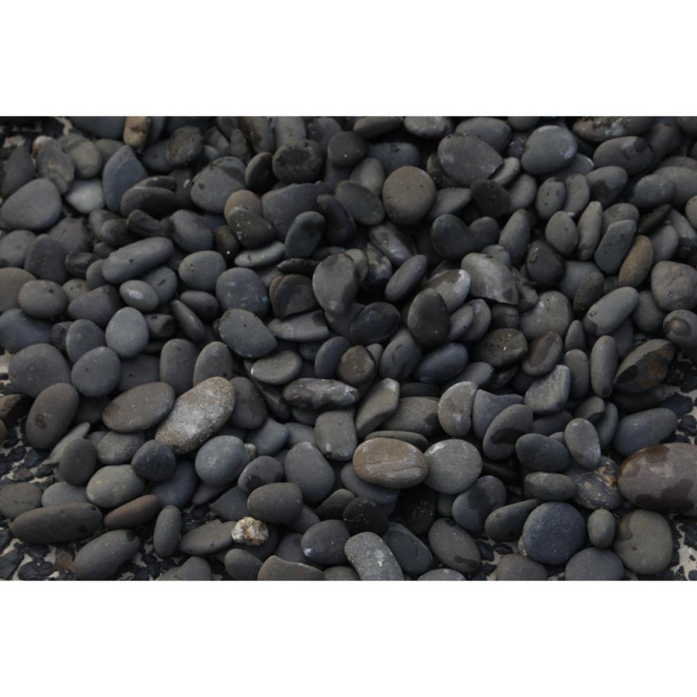 你的品牌名　庭園黒玉　８分　約２０～３０ｍｍ　１０ｋｇ