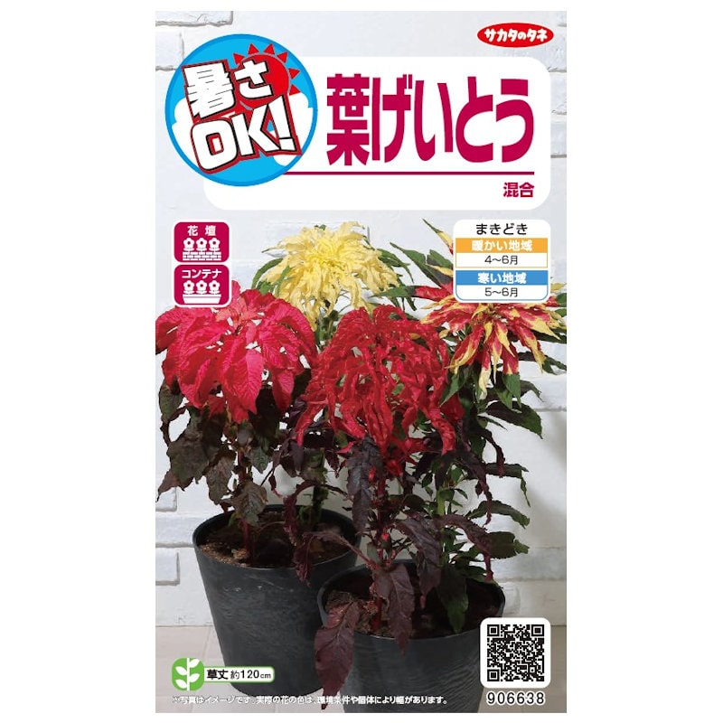 サカタのタネ　暑さＯＫ　葉げいとう　混合