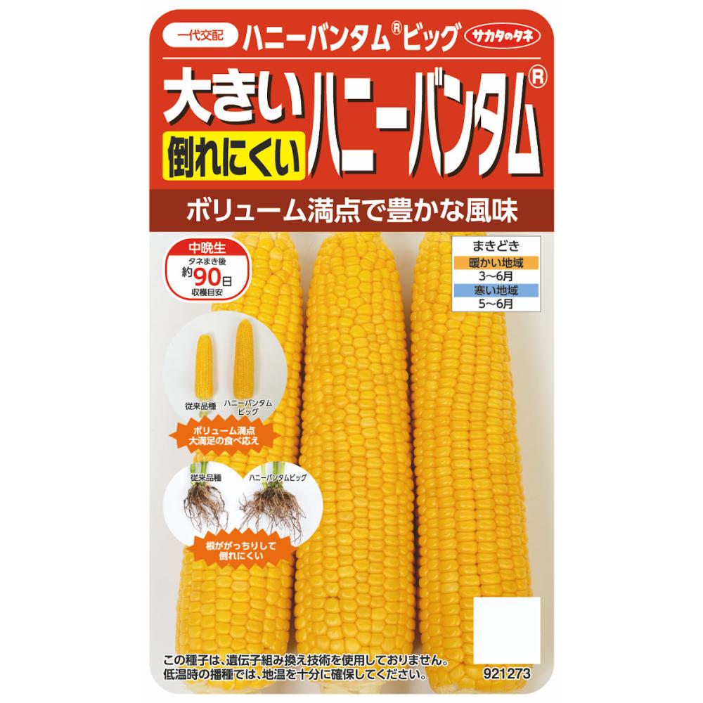 トウモロコシ種子　倒れにくい大きいハニーバンタムハニーバンタムビッグ