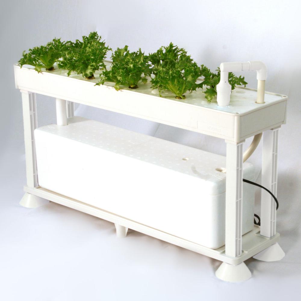 ホームハイポニカ　ＰＬＡＡＢＯ　葉菜用水耕栽培キット