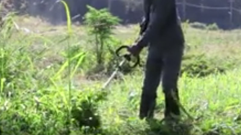 商品動画サムネイル