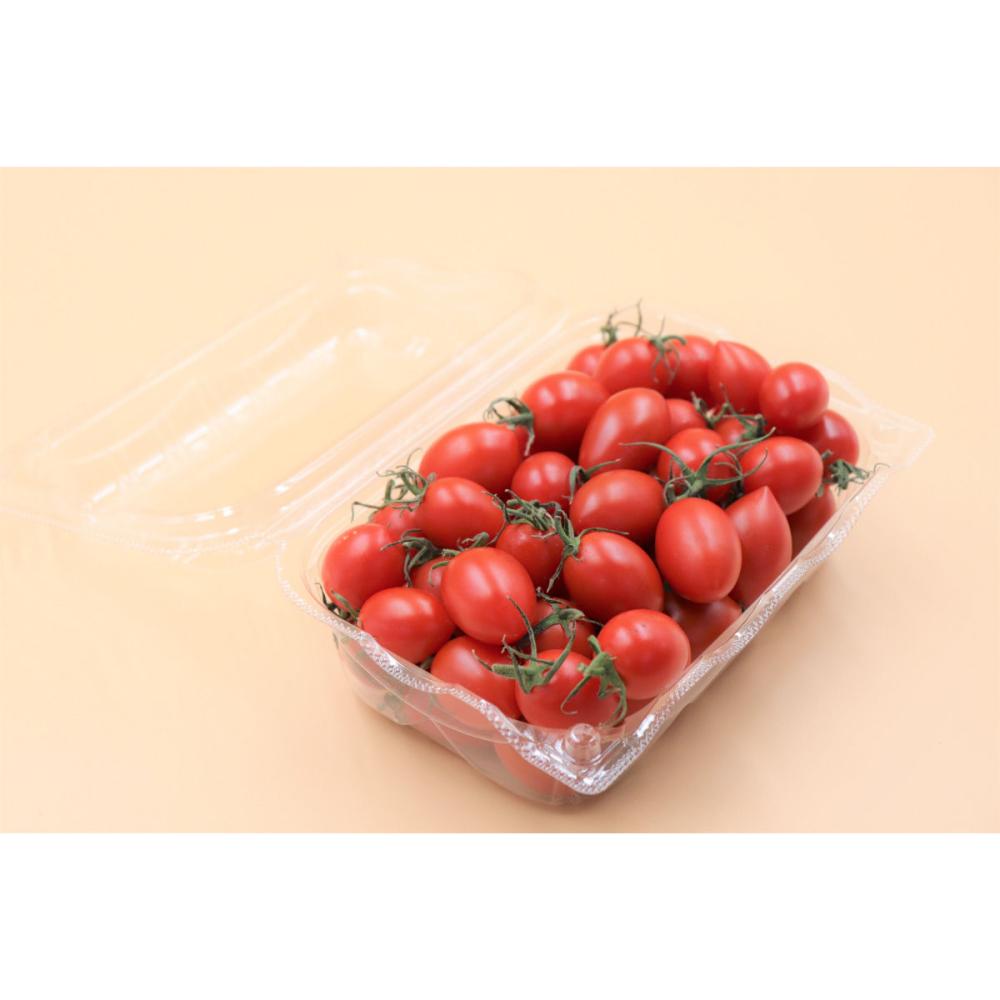 薄皮新感覚！高糖度ミニトマト　シュガープラム約２ｋｇ（約５００ｇ×４パック）