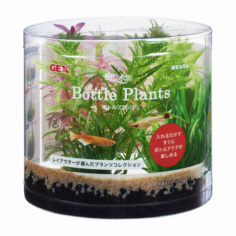 ＧＥＸ　癒し水景　ボトルプランツ　ミリオフィラム