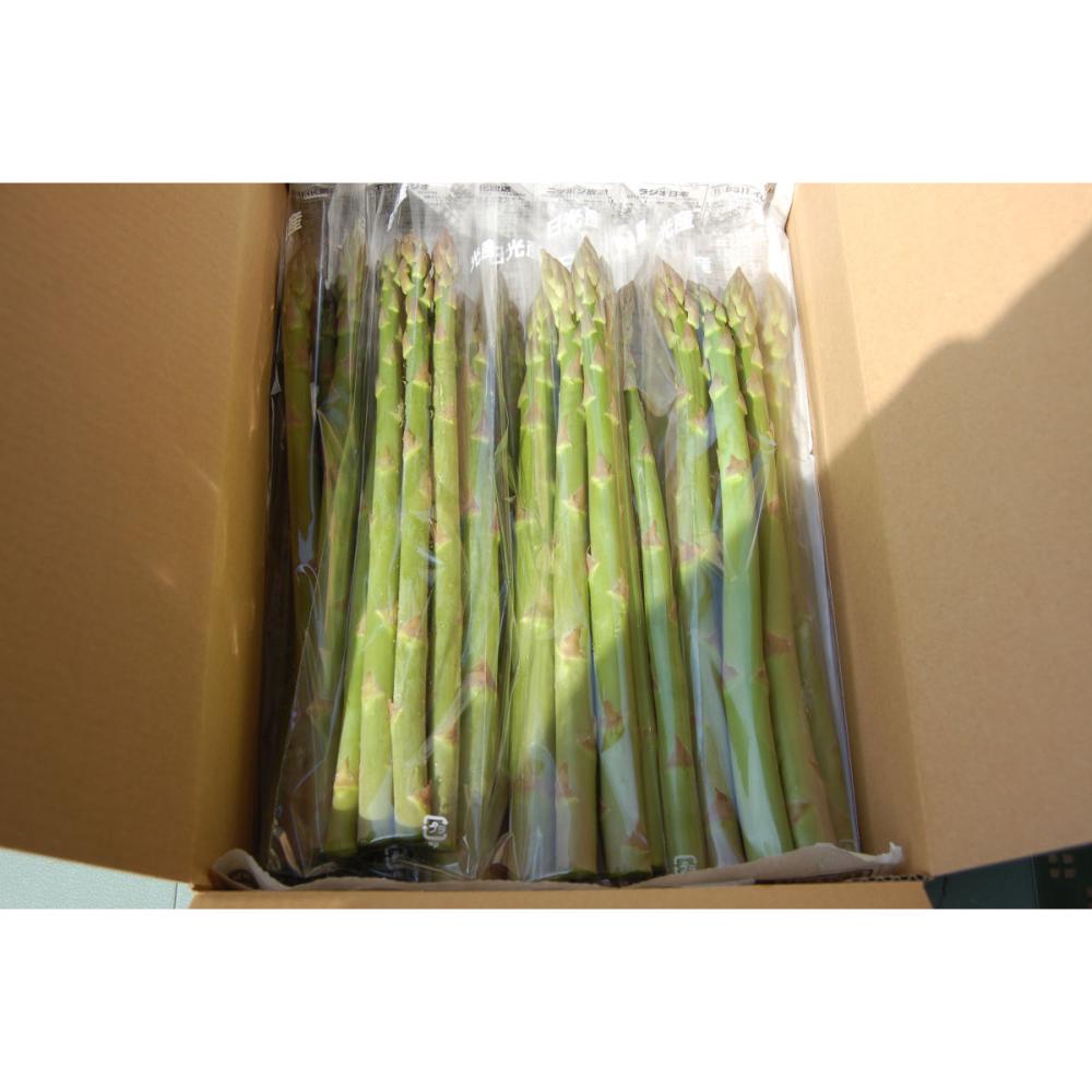 栃木県日光市産 アスパラガス　約１ｋｇ(春出荷)【注文期限：４月２０日】