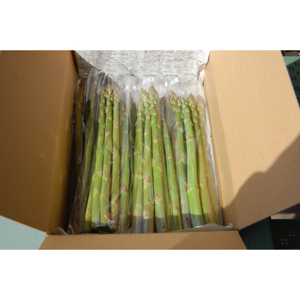 栃木県日光市産　アスパラガス　約１．５ｋｇ(春出荷)【注文期限：４月２０日】