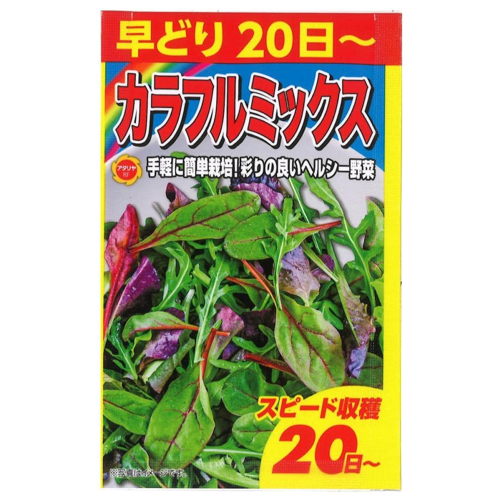 早どりカラフルミックス