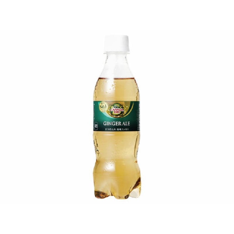 ジンジャーエール　３５０ｍＬ