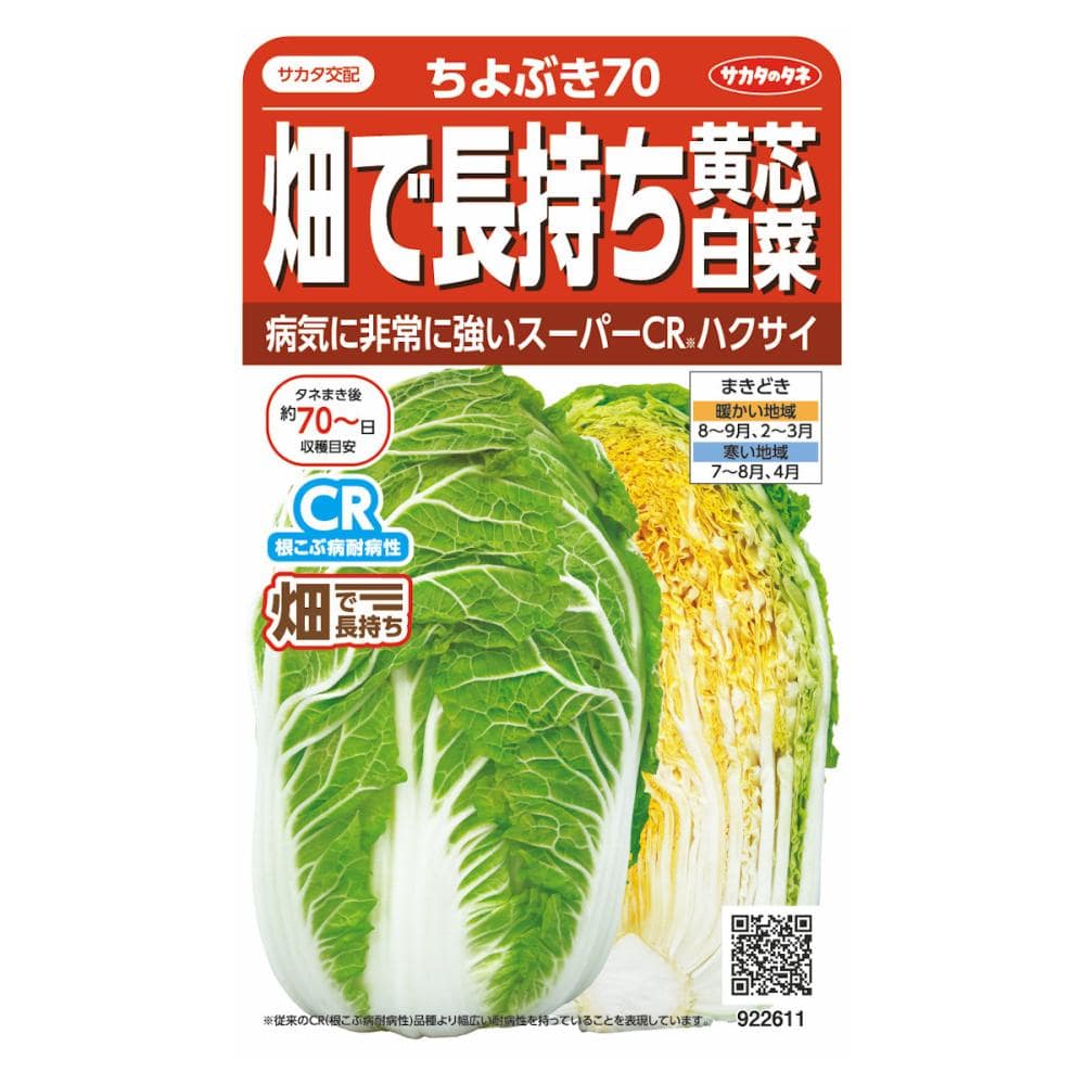 ハクサイ種子　畑で長持ち黄芯白菜ちよぶき７０