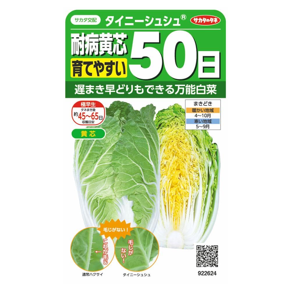 ハクサイ種子　耐病黄芯５０日タイニーシュシュ