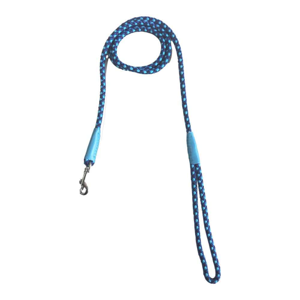 マイスター　ＮＥＷドリームリード　青　８ｍｍ