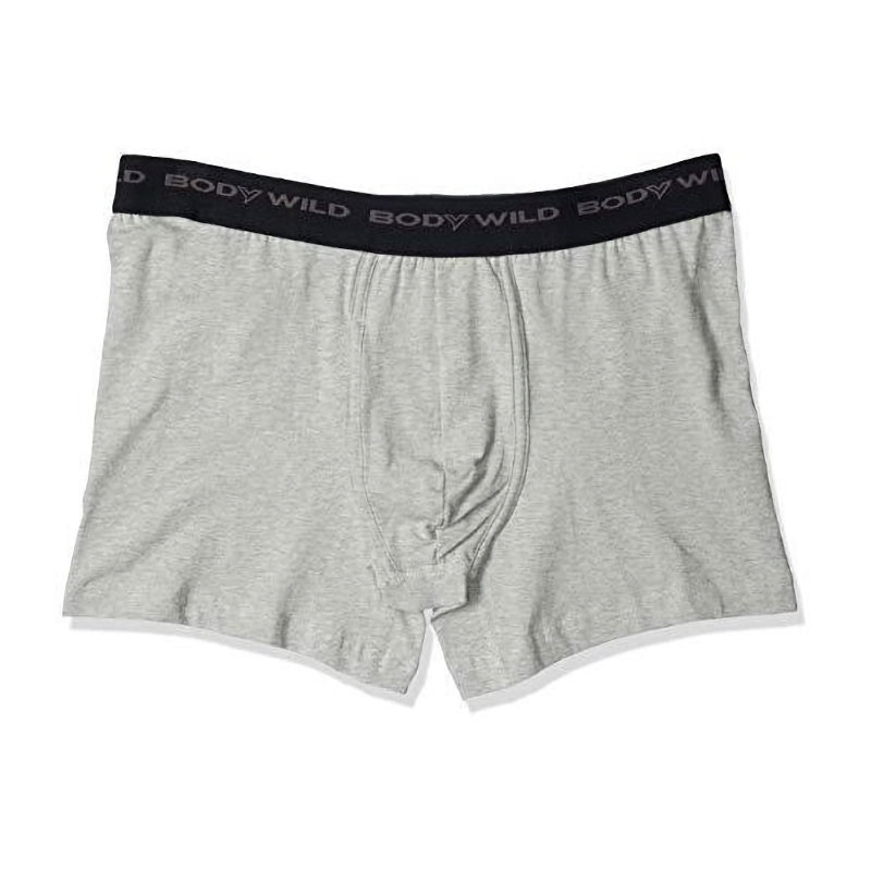 グンゼ　ボディワイルド　ベーシックボクサーブリーフ　グレー　Ｍサイズ