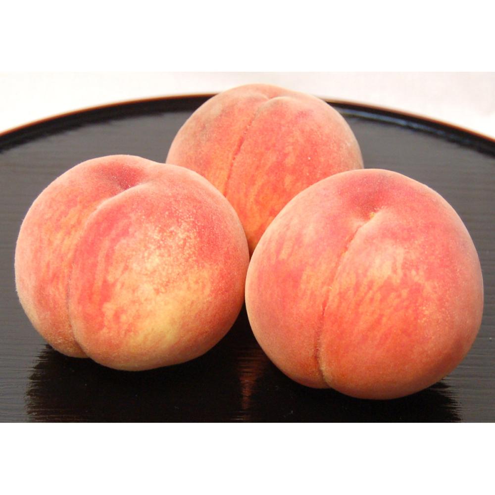 福島県産　もも　あかつき　特選品　約５ｋｇ（１５～１８玉入）【注文期限：７月２４日】