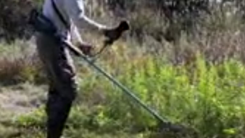 商品動画サムネイル