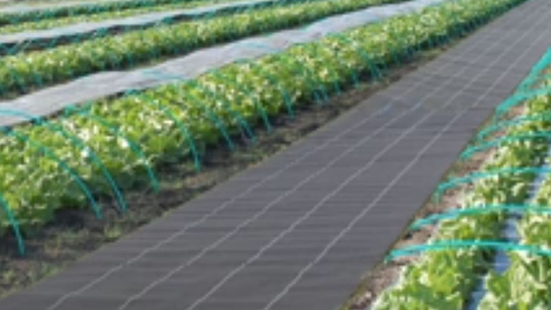 商品動画サムネイル