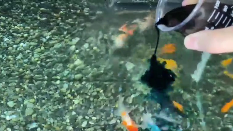 商品動画サムネイル