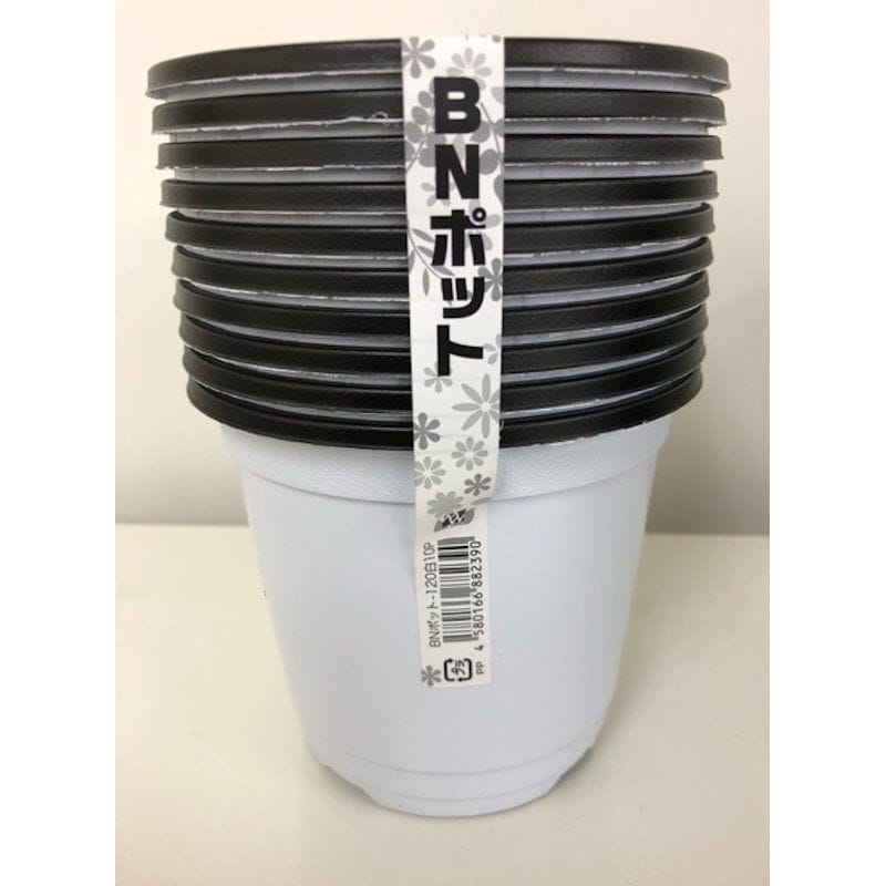 明和　ＢＮポット１２０　白　１０個入り