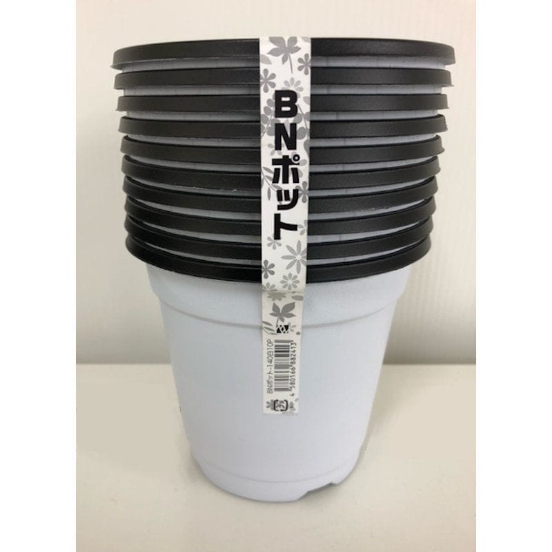 明和　ＢＮポット１４０　白　１０個入り