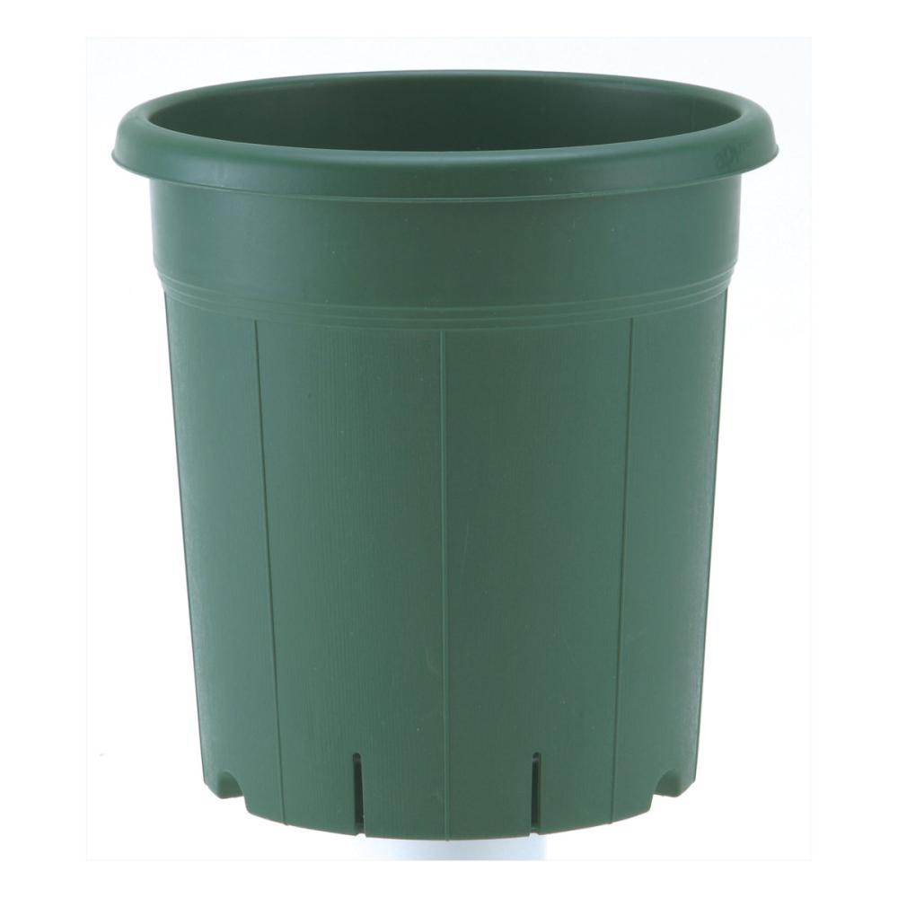 アップルウェアー　バラ鉢　グリーン　８号