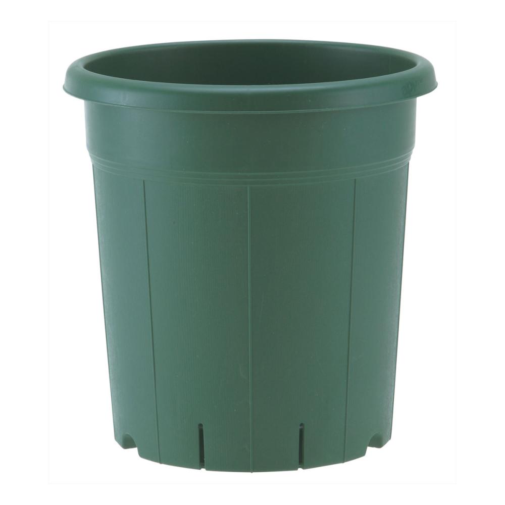 アップルウェアー　バラ鉢　グリーン　１２号