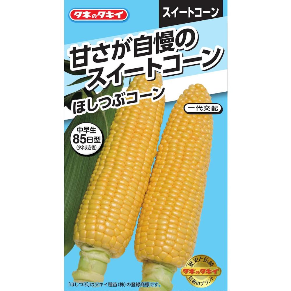 トウモロコシ種子　甘さが自慢のスイートコーン　ほしつぶコーン