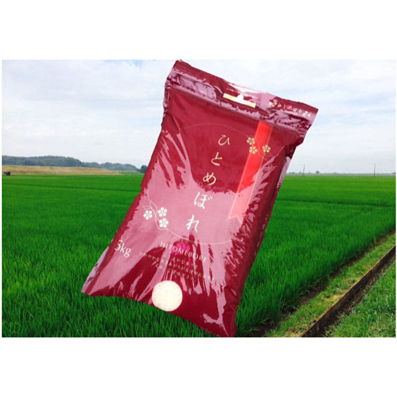 令和７年度　宮城県産　ひとめぼれ　精米１０ｋｇ