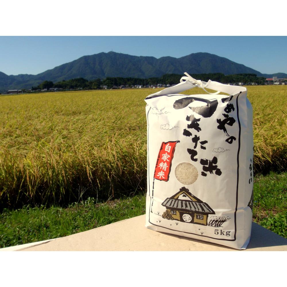 令和７年度産　新潟県弥彦村産　石井農園のこだわりコシヒカリ　精米１０ｋｇ