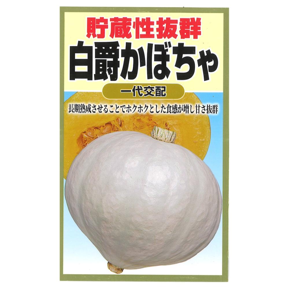 カボチャ種子　貯蔵性抜群　白爵かぼちゃ