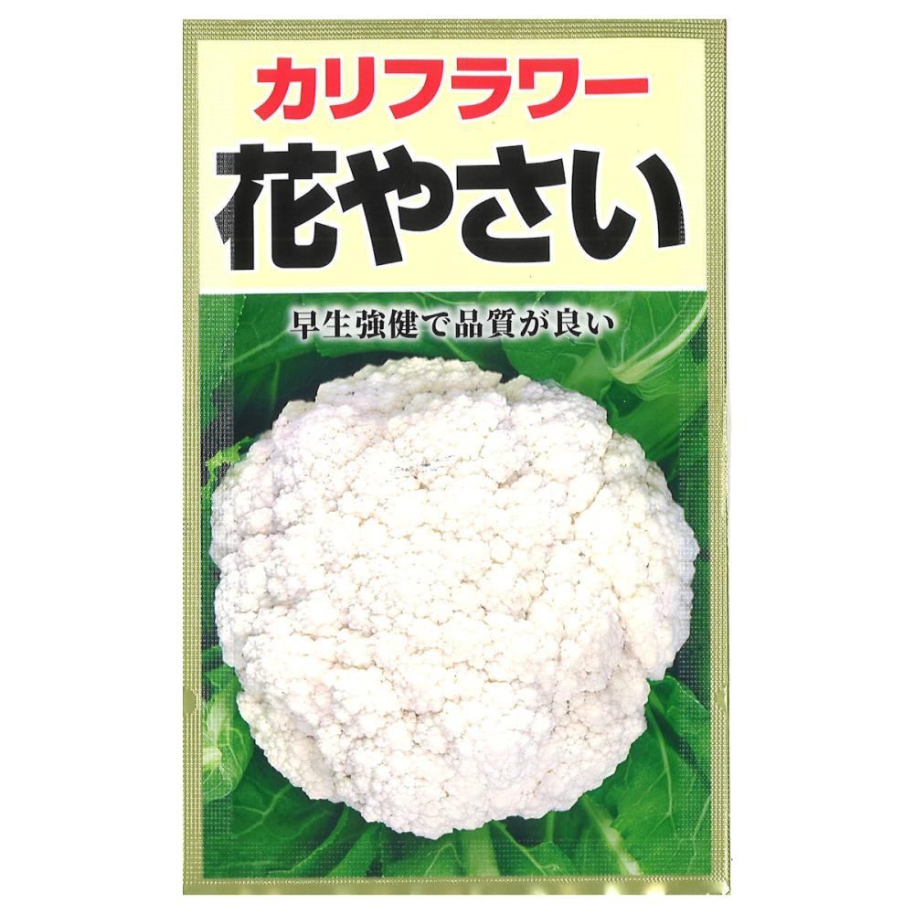 カリフラワー　花やさい
