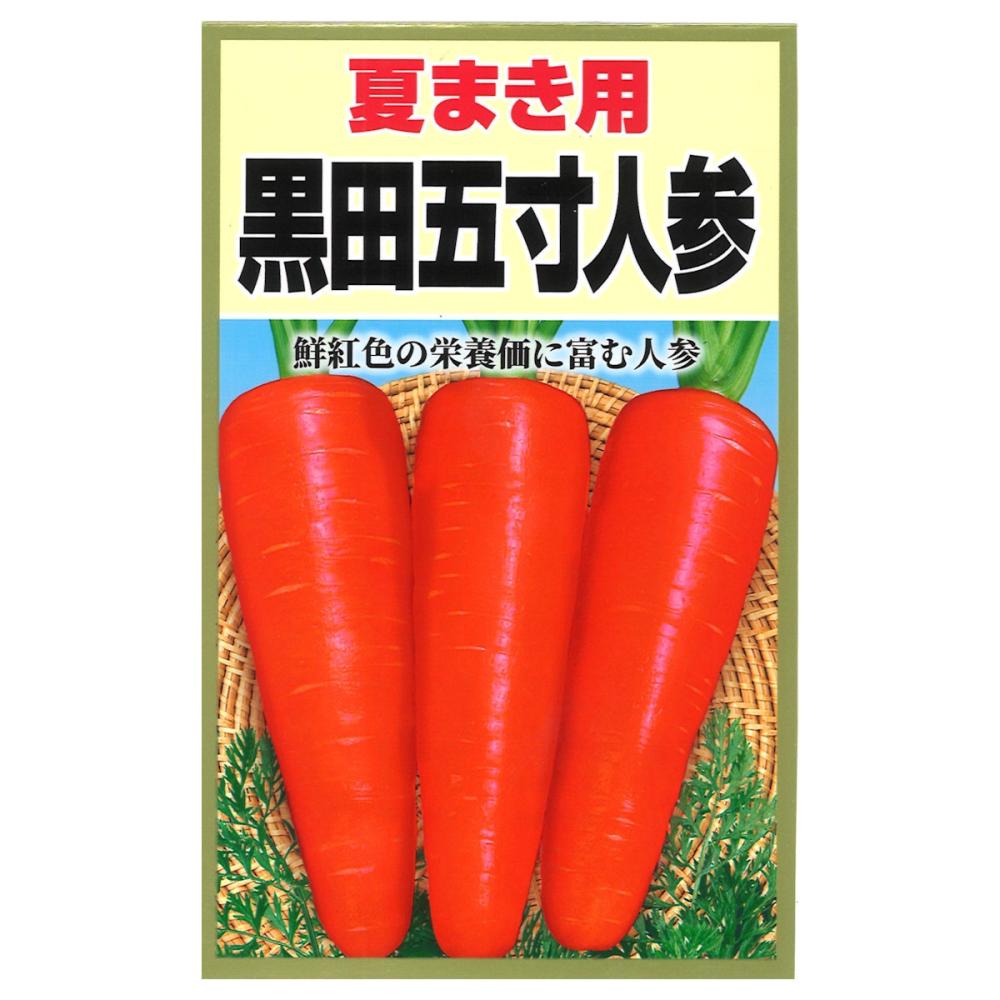 黒田五寸人参