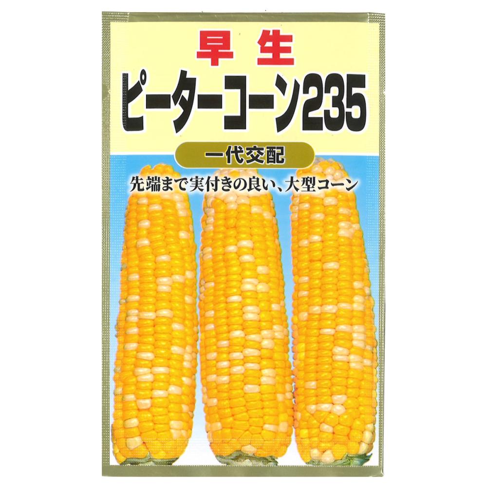 トウモロコシ種子　早生　ピーターコーン２３５
