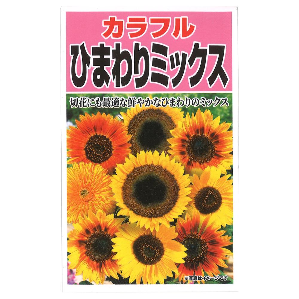 ヒマワリ種子　ひまわりミックス