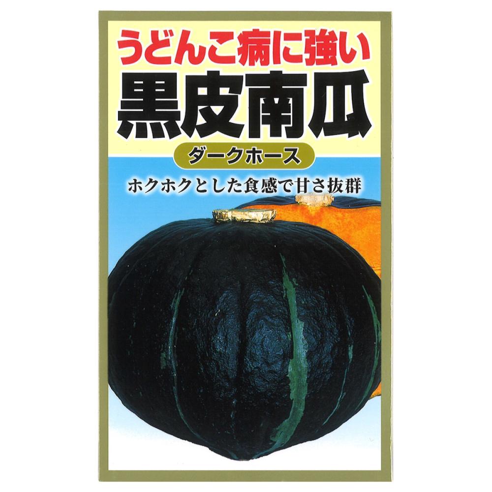 カボチャ種子　うどんこ病に強い　黒皮南瓜　ダークホース